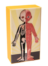 Cargar imagen en el visor de la galería, Magnético Cuerpo Humano