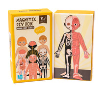 Cargar imagen en el visor de la galería, Magnético Cuerpo Humano