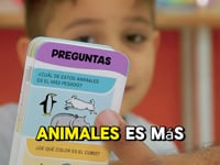 Cargar y reproducir el video en el visor de la galería, Abrementes