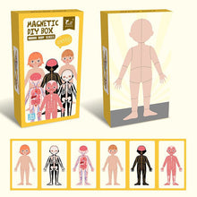 Cargar imagen en el visor de la galería, Magnético Cuerpo Humano