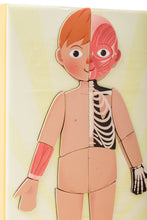 Cargar imagen en el visor de la galería, Magnético Cuerpo Humano