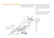 Cargar imagen en el visor de la galería, Conoce las aves tropicales. Libro para colorear