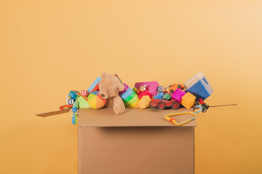 ORGANIZA LOS JUGUETES CON PROPÓSITO