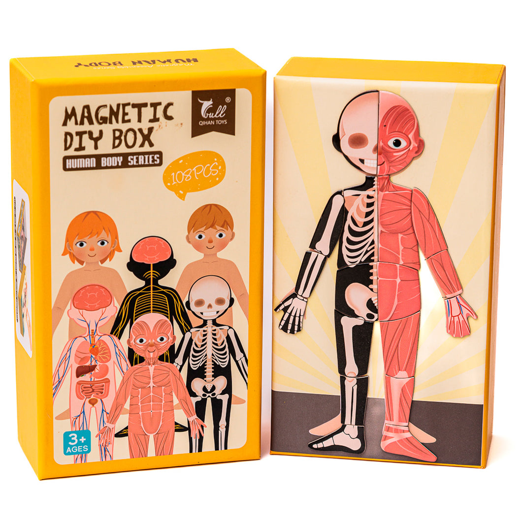 Magnético Cuerpo Humano