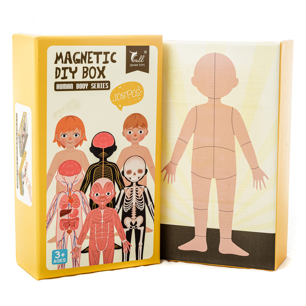 Magnético Cuerpo Humano