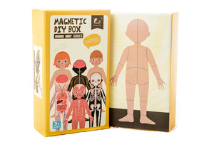 Magnético Cuerpo Humano