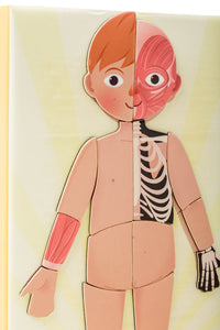 Magnético Cuerpo Humano