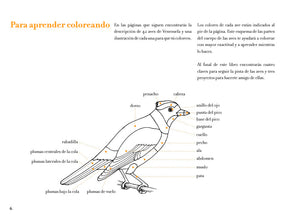 Conoce las aves tropicales. Libro para colorear