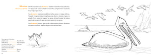 Conoce las aves tropicales. Libro para colorear
