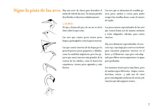 Conoce las aves tropicales. Libro para colorear
