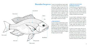 Conoce los peces tropicales. Libro para colorear
