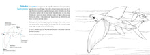Cargar imagen en el visor de la galería, Conoce los peces tropicales. Libro para colorear

