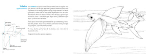 Conoce los peces tropicales. Libro para colorear