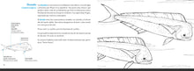 Cargar imagen en el visor de la galería, Conoce los peces tropicales. Libro para colorear
